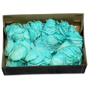 Petale turquoise de Trandafiri Criogenati RoseAmor PUR - 02 la Cutie 100 gr - Depozitul de Criogenati