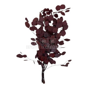 Populus Eucalipt Rosu inchis (Buchet Criogenat) - DepozituldeCriogenati.ro