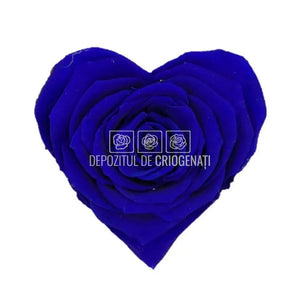 Trandafir Criogenat BELLA CORAZON BLU-03 (Ø7-8cm, 4 buc /cutie) - DepozituldeCriogenati.ro