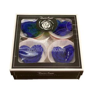 Trandafir Criogenat BELLA CORAZON BLU-03 (Ø7-8cm, 4 buc /cutie) - DepozituldeCriogenati.ro