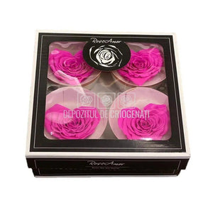 Trandafir Criogenat BELLA CORAZON PIN-07 (Ø7-8cm, 4 buc /cutie) - DepozituldeCriogenati.ro