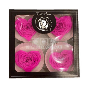 Trandafir Criogenat BELLA CORAZON PIN-07 (Ø7-8cm, 4 buc /cutie) - DepozituldeCriogenati.ro
