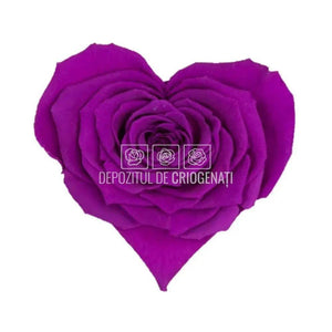 Trandafir Criogenat BELLA CORAZON PUR-02 (Ø7-8cm, 4 buc /cutie) - DepozituldeCriogenati.ro