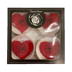 Trandafir Criogenat BELLA CORAZON RED-02 (Ø7-8cm, 4 buc /cutie) - DepozituldeCriogenati.ro