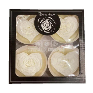 Trandafir Criogenat BELLA CORAZON WHI-01 (Ø7-8cm, 4 buc /cutie) - DepozituldeCriogenati.ro