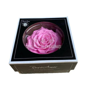 Trandafir Criogenat BONITA BIC-08 (Ø9,5cm, 1 buc /cutie) - DepozituldeCriogenati.ro