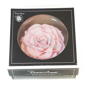 Trandafir Criogenat BONITA PIN-04 (Ø9,5cm, 1 buc /cutie) - DepozituldeCriogenati.ro