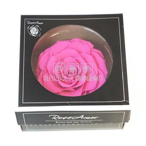 Trandafir Criogenat BONITA PIN-07 (Ø9,5cm, 1 buc /cutie) - DepozituldeCriogenati.ro