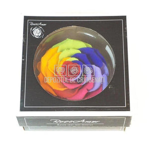 Trandafir Criogenat BONITA RAINBOW RED-02 (Ø9,5cm, 1 buc /cutie) - DepozituldeCriogenati.ro
