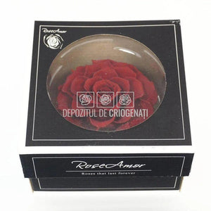 Trandafir Criogenat BONITA RED-01 (Ø9,5cm, 1 buc /cutie) - DepozituldeCriogenati.ro