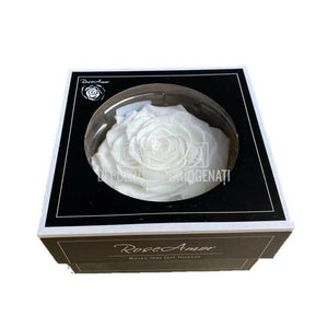 Trandafir Criogenat BONITA WHI - 01 (dia. 9,5cm, 1 buc /cutie) - Depozitul de Criogenati