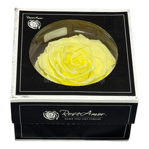 Trandafir Criogenat BONITA YEL - 89 (dia. 9,5cm, 1 buc /cutie) - DepozituldeCriogenati.ro