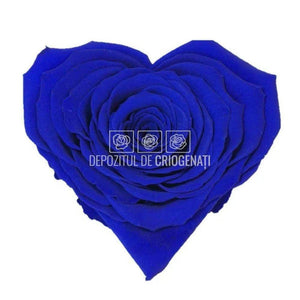 Trandafir Criogenat CORAZON BLU-03 (Ø9cm, 1 buc /cutie) - DepozituldeCriogenati.ro