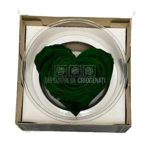 Trandafir Criogenat CORAZON GRE-02 (dia. 9cm, 1 buc /cutie) - DepozituldeCriogenati.ro