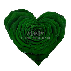 Trandafir Criogenat CORAZON GRE-02 (dia. 9cm, 1 buc /cutie) - DepozituldeCriogenati.ro