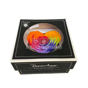 Trandafir Criogenat CORAZON RAINBOW RED-02 (Ø9cm, 1 buc /cutie) - DepozituldeCriogenati.ro