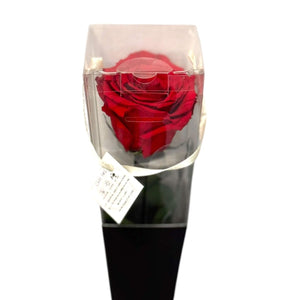 Trandafir Criogenat LORI RED - 02 (50cm, 1 buc ) - DepozituldeCriogenati.ro