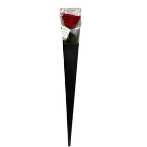 Trandafir Criogenat LORI RED - 02 (50cm, 1 buc ) - DepozituldeCriogenati.ro