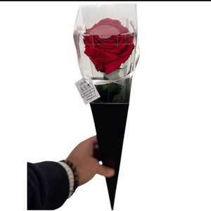 Trandafir Criogenat LORI RED - 02 (50cm, 1 buc ) - DepozituldeCriogenati.ro