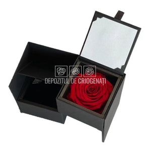 Trandafir Criogenat Rosu (Ø6,5-7cm) in Cutie (8,5x12,5cm) - DepozituldeCriogenati.ro