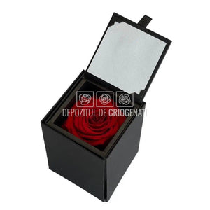 Trandafir Criogenat Rosu (Ø6,5-7cm) in Cutie (8,5x12,5cm) - DepozituldeCriogenati.ro