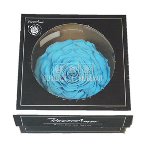 Trandafir Criogenat XXL BLU-01 (Ø9,5cm, 1 buc /cutie) - DepozituldeCriogenati.ro