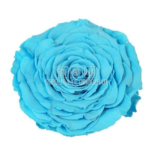 Trandafir Criogenat XXL BLU-01 (Ø9,5cm, 1 buc /cutie) - DepozituldeCriogenati.ro