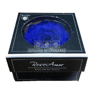 Trandafir Criogenat XXL BLU-03 (Ø9,5cm, 1 buc /cutie) - DepozituldeCriogenati.ro