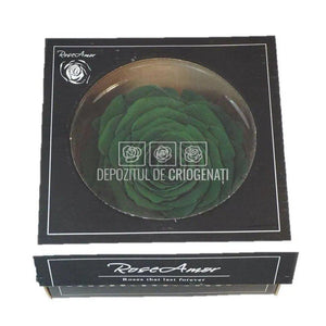 Trandafir Criogenat XXL GRE-02 (dia. 9,5cm, 1 buc /cutie)
