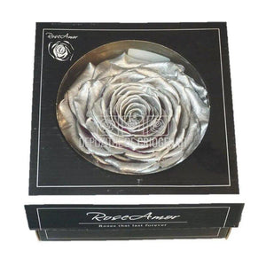 Trandafir Criogenat XXL METALLIC SILVER (Ø9,5cm, 1 buc /cutie) - DepozituldeCriogenati.ro