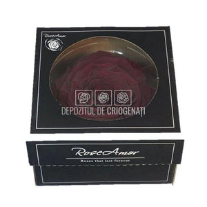 Trandafir Criogenat XXL PIN-02 (Ø9,5cm, 1 buc /cutie) - DepozituldeCriogenati.ro