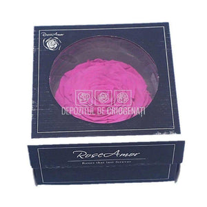 Trandafir Criogenat XXL PIN-07 (Ø9,5cm, 1 buc /cutie) - DepozituldeCriogenati.ro