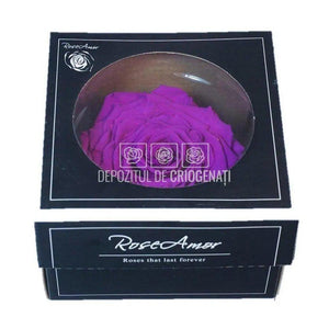 Trandafir Criogenat XXL PUR-02 (Ø9,5cm, 1 buc /cutie) - DepozituldeCriogenati.ro