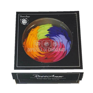 Trandafir Criogenat XXL RAINBOW RED-02 (dia. 9,5cm, 1 buc /cutie)