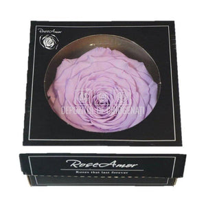 Trandafir Criogenat XXL VIO-03 (Ø9,5cm, 1 buc /cutie) - DepozituldeCriogenati.ro