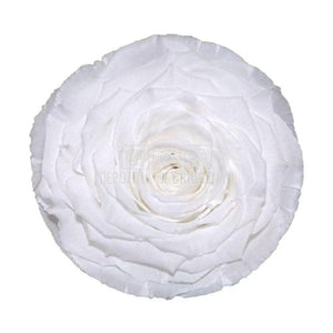 Trandafir Criogenat XXL WHI-01 (Ø9,5cm, 1 buc /cutie) - DepozituldeCriogenati.ro