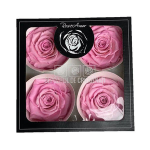 Trandafiri Criogenati BELLA BIC-08 (Ø7,5-8cm, set 4 buc /cutie) - DepozituldeCriogenati.ro
