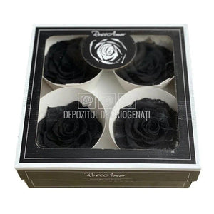 Trandafiri Criogenati BELLA BLA-01 (Ø7,5-8cm, set 4 buc /cutie) - DepozituldeCriogenati.ro