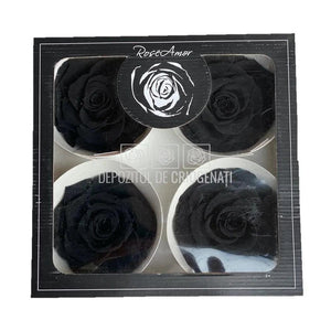 Trandafiri Criogenati BELLA BLA-01 (Ø7,5-8cm, set 4 buc /cutie) - DepozituldeCriogenati.ro