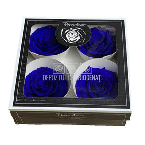 Trandafiri Criogenati BELLA BLU-03 (Ø7,5-8cm, set 4 buc /cutie) - DepozituldeCriogenati.ro