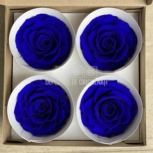 Trandafiri Criogenati BELLA BLU-03 (Ø7,5-8cm, set 4 buc /cutie) - DepozituldeCriogenati.ro