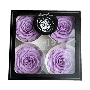Trandafiri Criogenati BELLA VIO-03 (Ø7,5-8cm, set 4 buc /cutie) - DepozituldeCriogenati.ro
