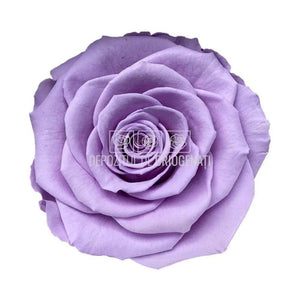 Trandafiri Criogenati BELLA VIO-03 (Ø7,5-8cm, set 4 buc /cutie) - DepozituldeCriogenati.ro