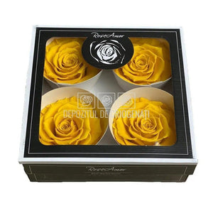Trandafiri Criogenati BELLA YEL-02 (Ø7,5-8cm, set 4 buc /cutie) - DepozituldeCriogenati.ro