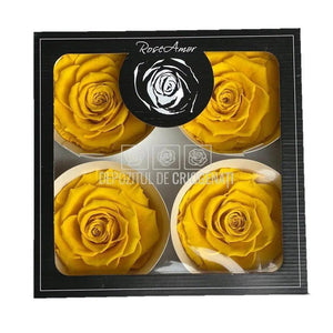 Trandafiri Criogenati BELLA YEL-02 (Ø7,5-8cm, set 4 buc /cutie) - DepozituldeCriogenati.ro