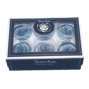 Trandafiri Criogenati CARMEN BLU-05 (Ø6-6,5cm, set 6 buc /cutie) - DepozituldeCriogenati.ro