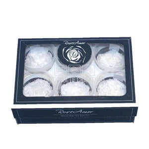 Trandafiri Criogenati CARMEN WHI-01 (Ø6-6,5cm, set 6 buc /cutie) - DepozituldeCriogenati.ro