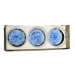 Trandafiri Criogenati KABUKIZA BLU-89 (dia.6cm x 3,2cm, set 3 buc /cutie) - DepozituldeCriogenati.ro
