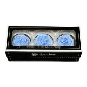 Trandafiri Criogenati KABUKIZA BLU-89 (dia.6cm x 3,2cm, set 3 buc /cutie) - DepozituldeCriogenati.ro