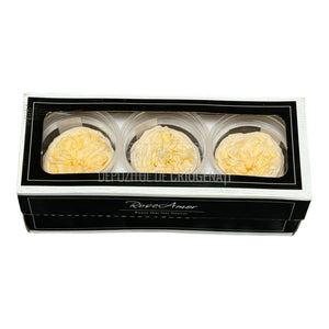 Trandafiri Criogenati KABUKIZA CHA-89 (dia.6cm x 3,2cm, set 3 buc /cutie) - DepozituldeCriogenati.ro